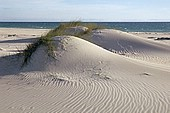 Costa da Luz - Tarifa Beach 